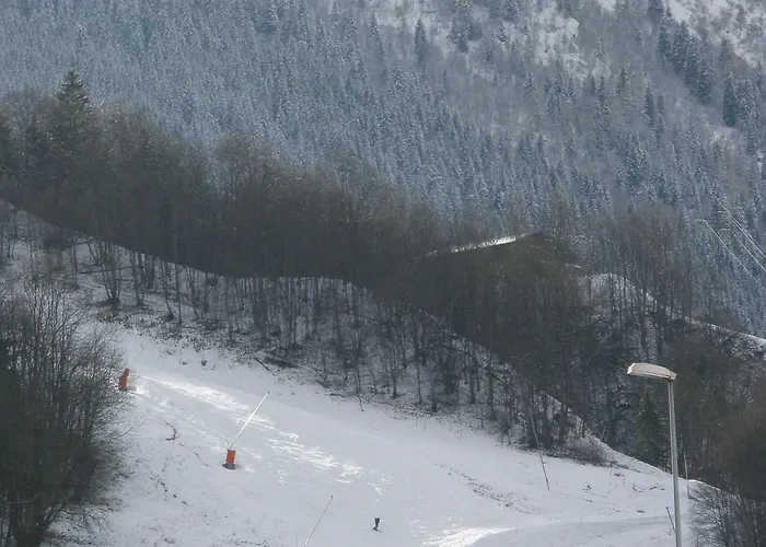 Les Mélèzes 3* Les Houches