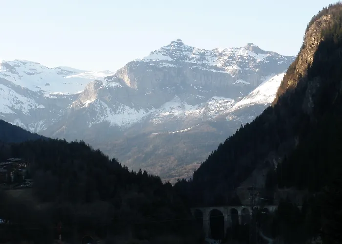 Les Mélèzes 3* Les Houches